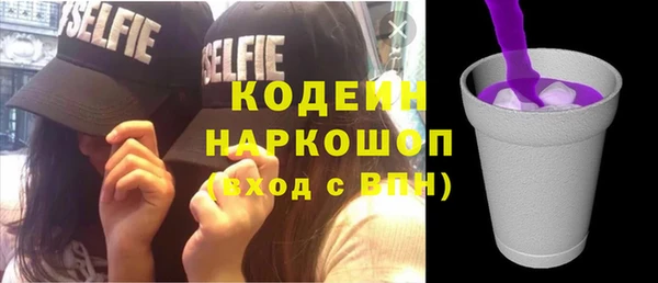индика Гусев