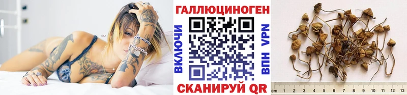 Псилоцибиновые грибы ЛСД  где найти   Сургут 