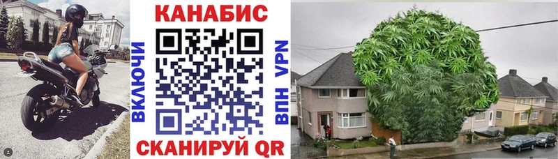 Конопля THC 21%  гидра как войти  Сургут  купить  сайты 